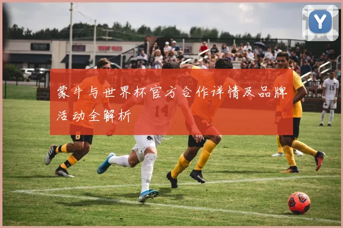 蒙牛与世界杯官方合作详情及品牌活动全解析